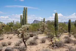 11690 W Rudasill Rd, Tucson, AZ 85743 - Photo 1