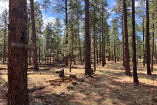 18 N Cr 1045, Eagar, AZ 85925 - Photo 1