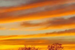 17475 W Curtis St, Marana, AZ 85653 - Photo 1