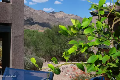 5800 N Kolb Road #9150, Tucson, AZ 85750 - Photo 1