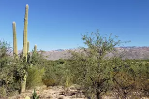 2930 N Lone Dove Trail, Tucson, AZ 85749 - Photo 1