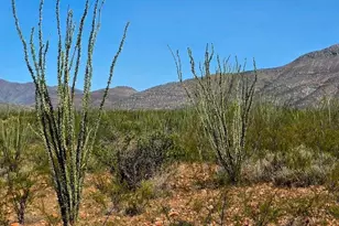 Tbd E Beech Craft Blvd, Bisbee, AZ 85603 - Photo 1