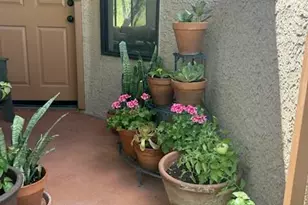 7255 E Snyder Rd, Tucson, AZ 85750 - Photo 1