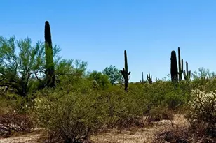 0 E Florence-Kelvin Hwy #2 10 Acre, Florence, AZ 85132 - Photo 1