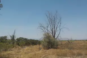 28 67 Ac S Kansas Settlement Rd, Willcox, AZ 85643 - Photo 1