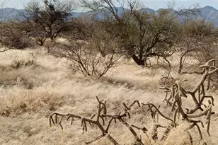 16040 S Big Run Ave, Tucson, AZ 85736 - Photo 1