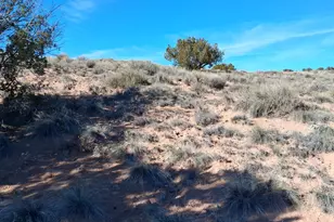 3 02 Acres Unnamed Rd, Sanders, AZ 86512 - Photo 1