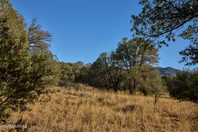 Tbd Paradise Road #10, Portal, AZ 85632 - Photo 1