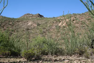 37 Copper Canyon Road #140, Tubac, AZ 85646 - Photo 1
