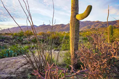 12650 E Roger Road #8, Tucson, AZ 85749 - Photo 1