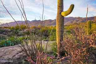 12650 E Roger Rd, Tucson, AZ 85749 - Photo 1