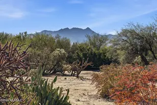 1568 N Rio Mayo, Green Valley, AZ 85614 - Photo 1