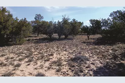8.98 Acres N7407 #382,383, Sanders, AZ 86512 - Photo 1