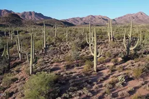 4146 N Gerhart Rd, Tucson, AZ 85745 - Photo 1