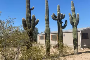 6251 N Blue Blvd, Tucson, AZ 85743 - Photo 1