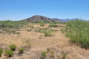 39 62 Ac N Wolf Ct, Willcox, AZ 85643 - Photo 1