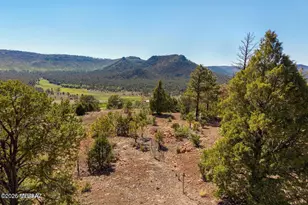 N2280, Nutrioso, AZ 85932 - Photo 1
