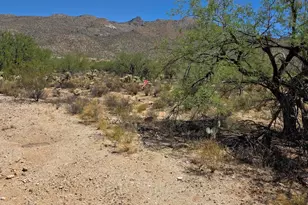 10841 E Adobe Creek Pl Lot, Tucson, AZ 85749 - Photo 1
