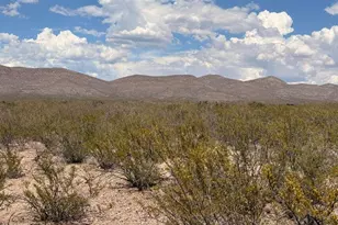 Lot 121 Valley Springs Dr, Douglas, AZ 85607 - Photo 1