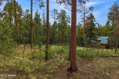 8 County Road 2070, Alpine, AZ 85920 - Photo 1