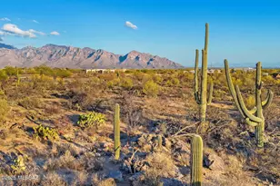2676 W Cougar Canyon Trail, Tucson, AZ 85755 - Photo 1