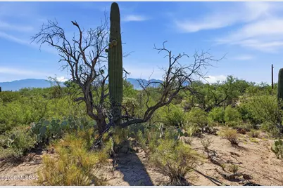 12680 N Caminito Al Sol, Tucson, AZ 85755 - Photo 1