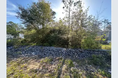 Xxx Trout Drive, Defuniak Springs, FL 32433 - Photo 3