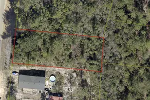 Xxx Trout Dr, Defuniak Springs, FL 32433 - Photo 1