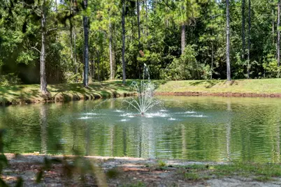 Lot 53 Hibernate Way, Freeport, FL 32439 - Photo 3
