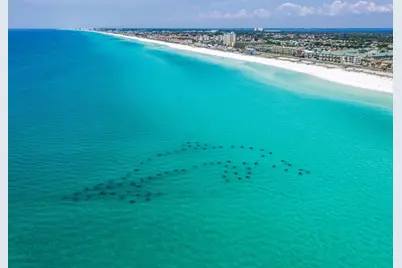 60 Sandprints Drive #UNIT D11, Miramar Beach, FL 32550 - Photo 29