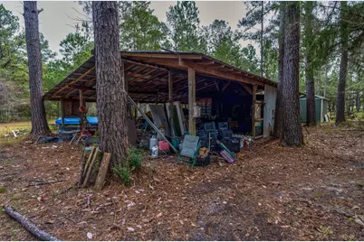 248 Bunny Lane, Freeport, FL 32439 - Photo 27