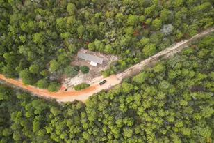 169 White Rd, Defuniak Springs, FL 32433 - Photo 21