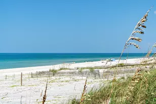 195 Swirly Sun Dr, Cape San Blas, FL 32456 - Photo 11