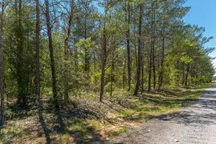316 E Lafavre Ln, Defuniak Springs, FL 32433 - Photo 47