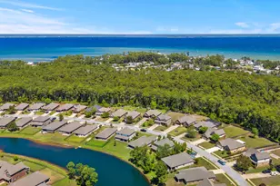 377 Cocobolo Dr, Santa Rosa Beach, FL 32459 - Photo 63