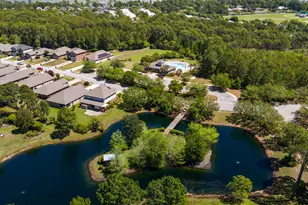 377 Cocobolo Dr, Santa Rosa Beach, FL 32459 - Photo 65