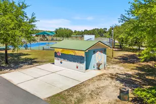 377 Cocobolo Dr, Santa Rosa Beach, FL 32459 - Photo 71