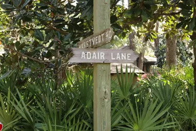 Lot 9 Adair, Santa Rosa Beach, FL 32459 - Photo 33