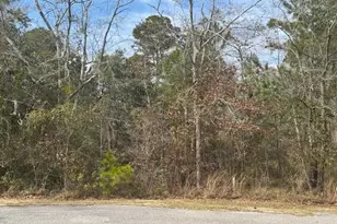 Lot 76 77 Harbour, Freeport, FL 32439 - Photo 7