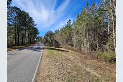 00 C B Whitehead Road, Ponce de Leon, FL 32455 - Photo 7