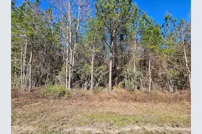 00 C B Whitehead Road, Ponce de Leon, FL 32455 - Photo 5