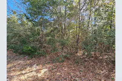 00 C J Laird Road, Ponce de Leon, FL 32455 - Photo 7