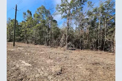 00 C J Laird Road, Ponce de Leon, FL 32455 - Photo 11