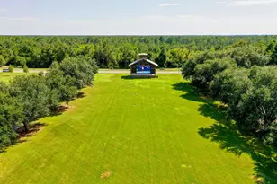 140 Flora Ln, Freeport, FL 32439 - Photo 59