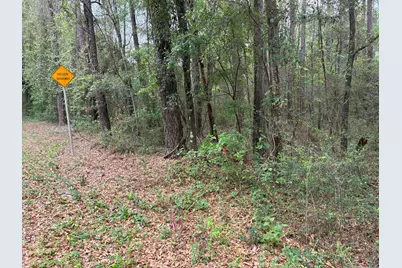 Xx S County Hwy 183, Ponce de Leon, FL 32455 - Photo 13