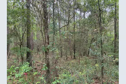 Na S County Hwy 183, Ponce de Leon, FL 32455 - Photo 5