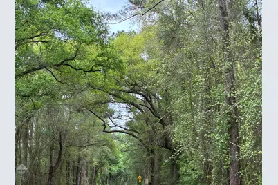 Xx S County Hwy 183, Ponce de Leon, FL 32455 - Photo 11