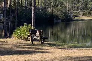 209 Santa Barbara Ave, Santa Rosa Beach, FL 32459 - Photo 77