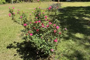 1722 Red Hill Rd, Ponce de Leon, FL 32455 - Photo 27