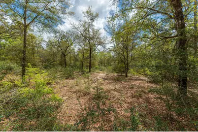 Na Womack Road #Lots 1-50, Crestview, FL 32539 - Photo 21